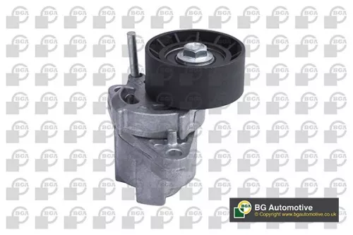Tensioner Lever, V-ribbed belt