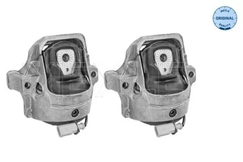 MEYLE Mounting, engine (100 199 1405/S)