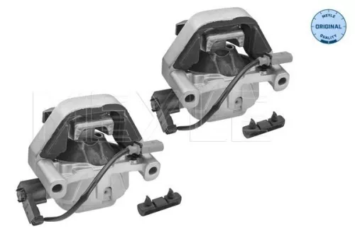 MEYLE Mounting, engine (100 199 3106/S)