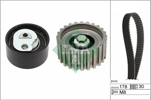 Ina Timing Belt Kit For Citroën Fiat Iveco Peugeot Boxer Daily Ducato Jumper