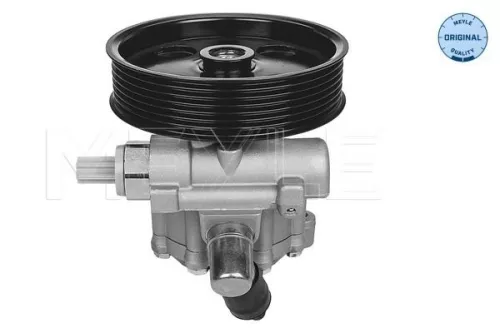 MEYLE Hydraulic Pump, steering (014 631 0012)
