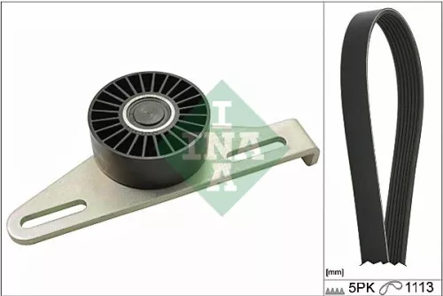INA V-Ribbed Belt Set for DACIA LADA NISSAN RENAULT 19 CLIO KANGOO KANGOO / GRAN