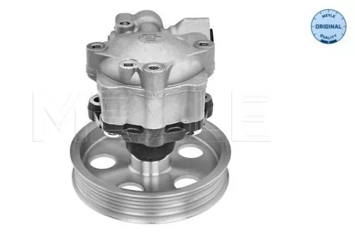 MEYLE MEYLE 114 631 0042 Hydraulic Pump, steering 