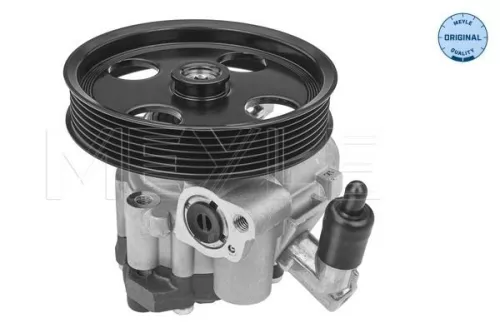 MEYLE Hydraulic Pump, steering (014 631 0038)