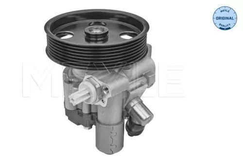 MEYLE Hydraulic Pump, steering (014 631 0029)