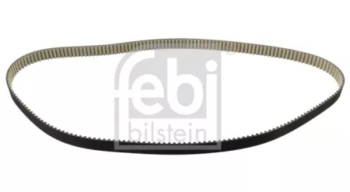 Timing Belt