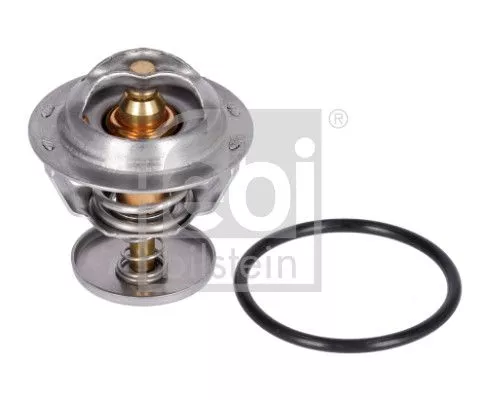 Thermostat, coolant