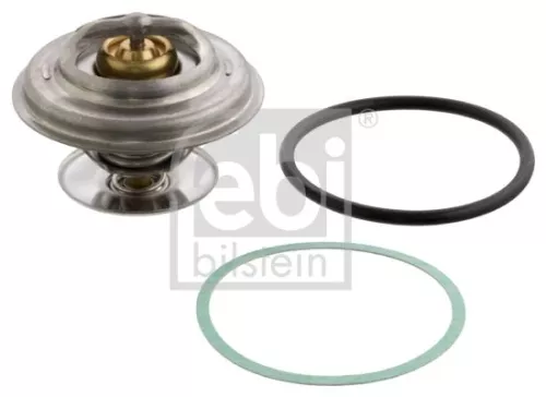 Thermostat, coolant