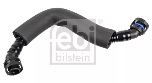 Hose, crankcase ventilation