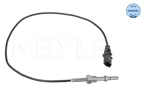 Sensor, exhaust gas temperature