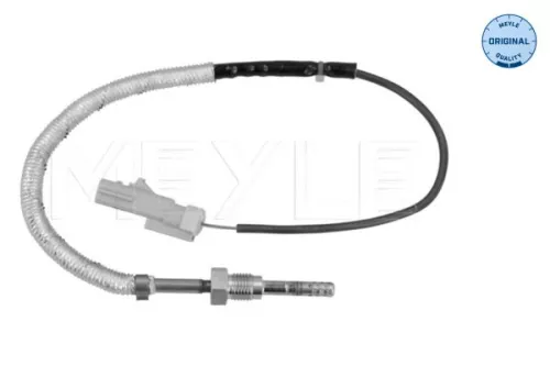 Sensor, exhaust gas temperature