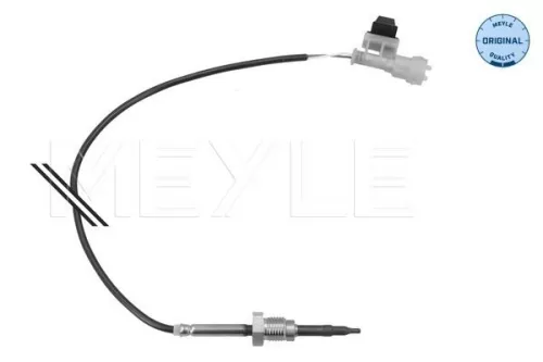 Sensor, exhaust gas temperature