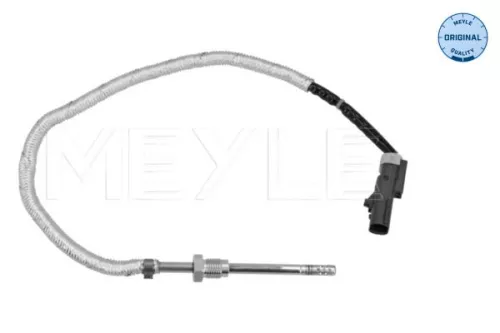 Sensor, exhaust gas temperature