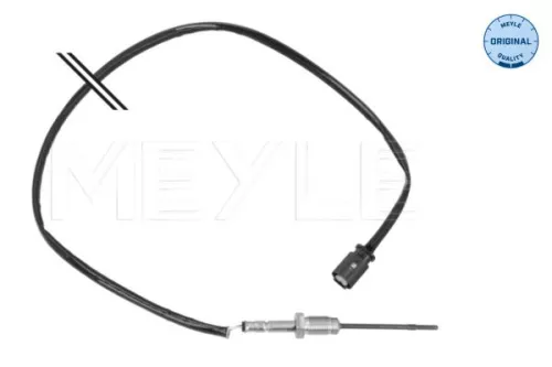 Sensor, exhaust gas temperature