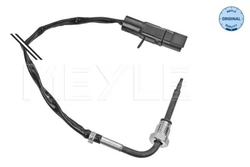 Sensor, exhaust gas temperature