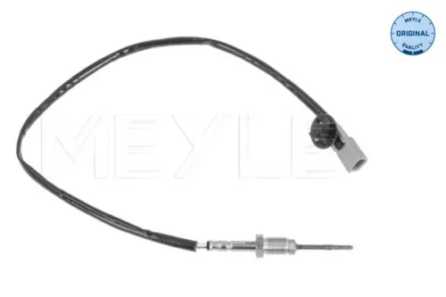 Sensor, exhaust gas temperature