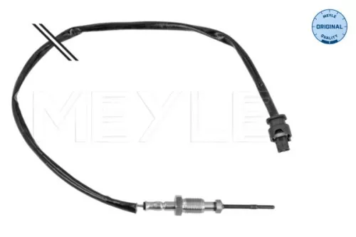 Sensor, exhaust gas temperature