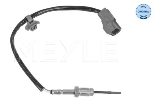 Sensor, exhaust gas temperature