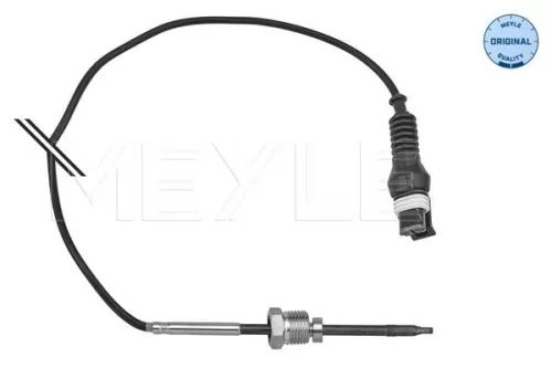 Sensor, exhaust gas temperature