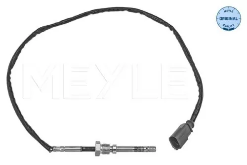 Sensor, exhaust gas temperature
