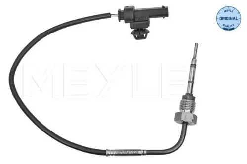 Sensor, exhaust gas temperature