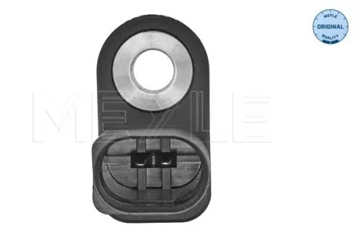 MEYLE Sensor, intake air temperature (100 905 0024)