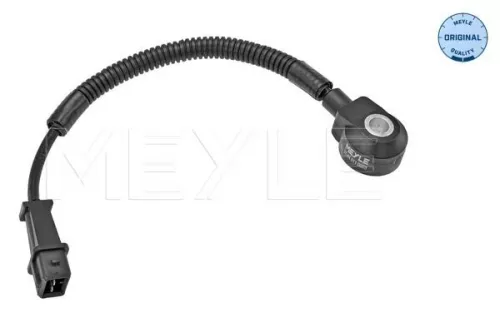 Knock Sensor