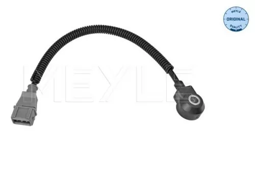 Knock Sensor