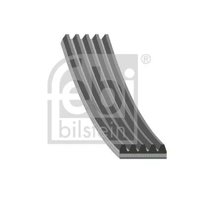 V-ribbed Belt