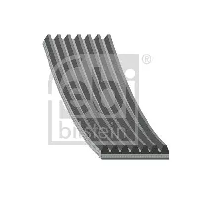 FEBI BILSTEIN FEBI BILSTEIN 29031 V-ribbed Belt 