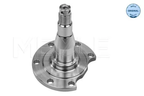 MEYLE Stub Axle, axle beam (100 501 0031)