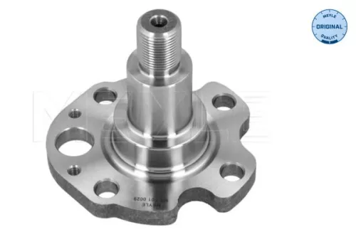 MEYLE Stub Axle, axle beam (100 501 0029)