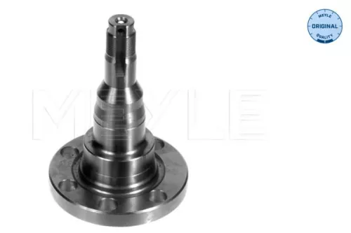 MEYLE Stub Axle, axle beam (100 501 1010)