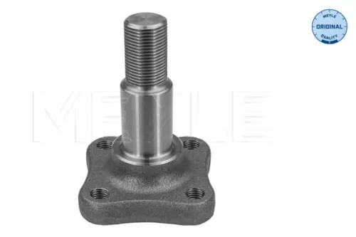 MEYLE Stub Axle, axle beam (16-14 501 0000)