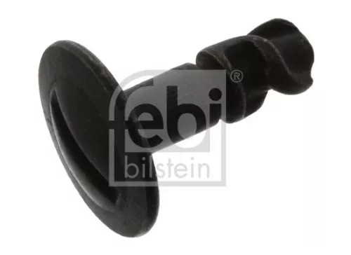 Engine Guard/Skid Plate