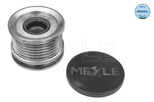 Alternator Freewheel Clutch