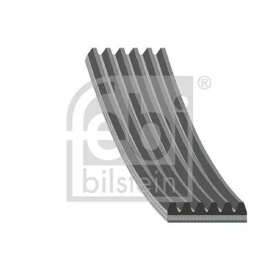 V-ribbed Belt