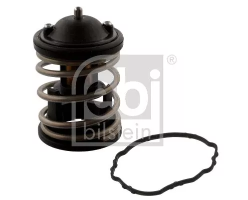 Thermostat, coolant