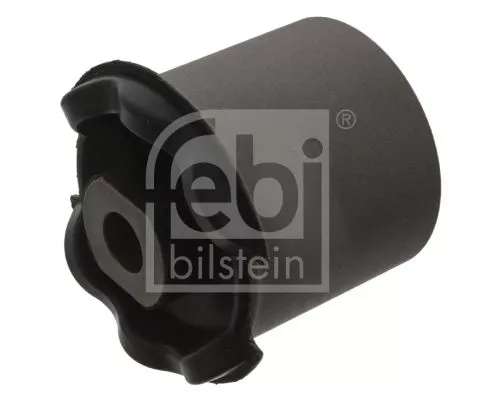 Mounting, control/trailing arm