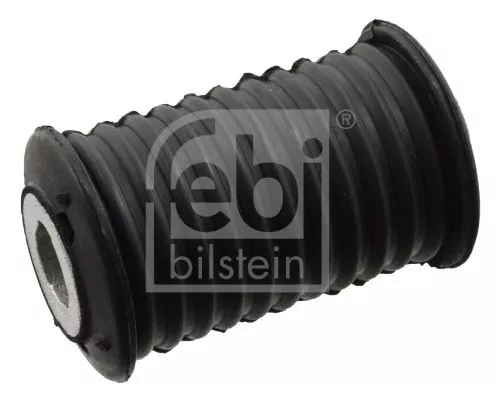 Bushing, leaf spring