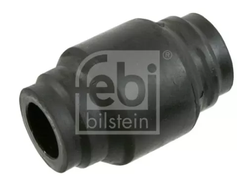 Bushing, leaf spring