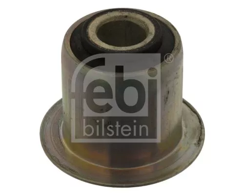 Bushing, leaf spring