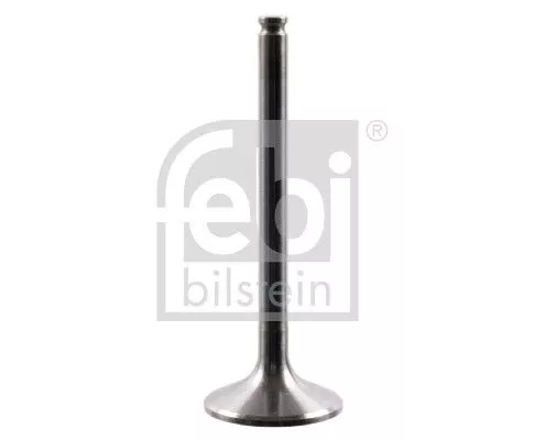 Intake Valve
