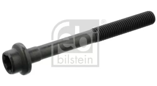 Cylinder Head Bolt