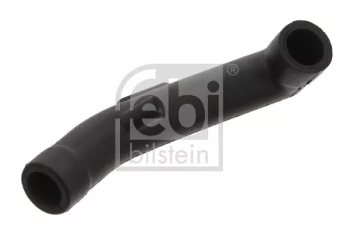 Hose, crankcase ventilation
