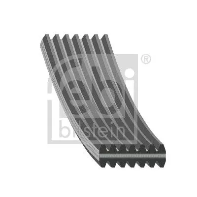FEBI BILSTEIN FEBI BILSTEIN 34464 Febi Alternator Belt For Chrysler Vw California Grand Voyager Transporter 