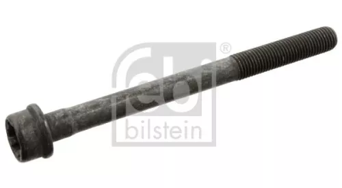 Cylinder Head Bolt