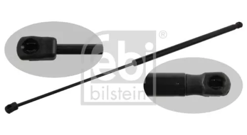 Gas Spring, bonnet