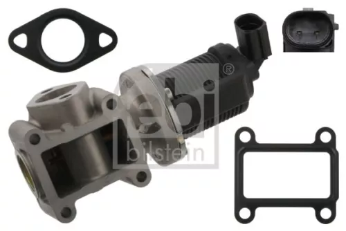 EGR Valve