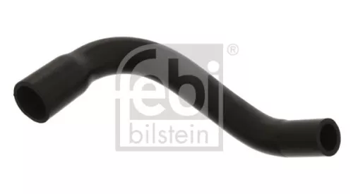 Hose, crankcase ventilation